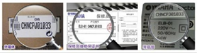 紧急声明：谨防AG旗舰厅电子琴假冒伪劣商品 